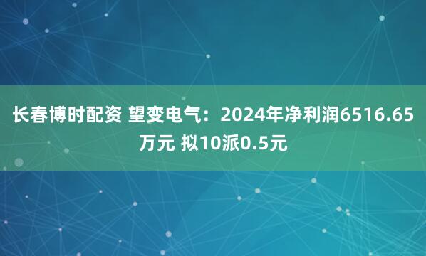 长春博时配资 望变电气：2024年净利润6516.65万元 拟10派0.5元