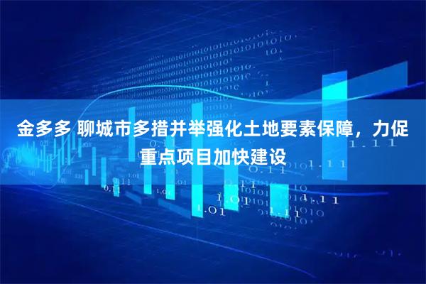 金多多 聊城市多措并举强化土地要素保障，力促重点项目加快建设